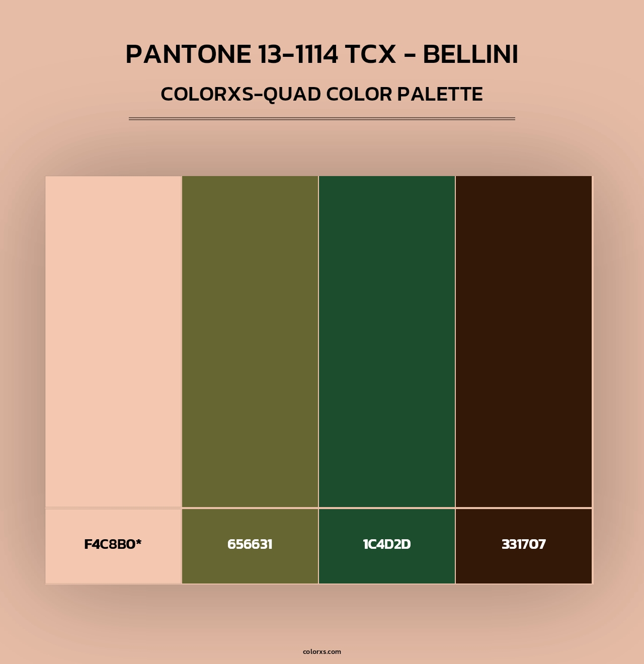 PANTONE 13-1114 TCX - Bellini - Colorxs Quad Palette