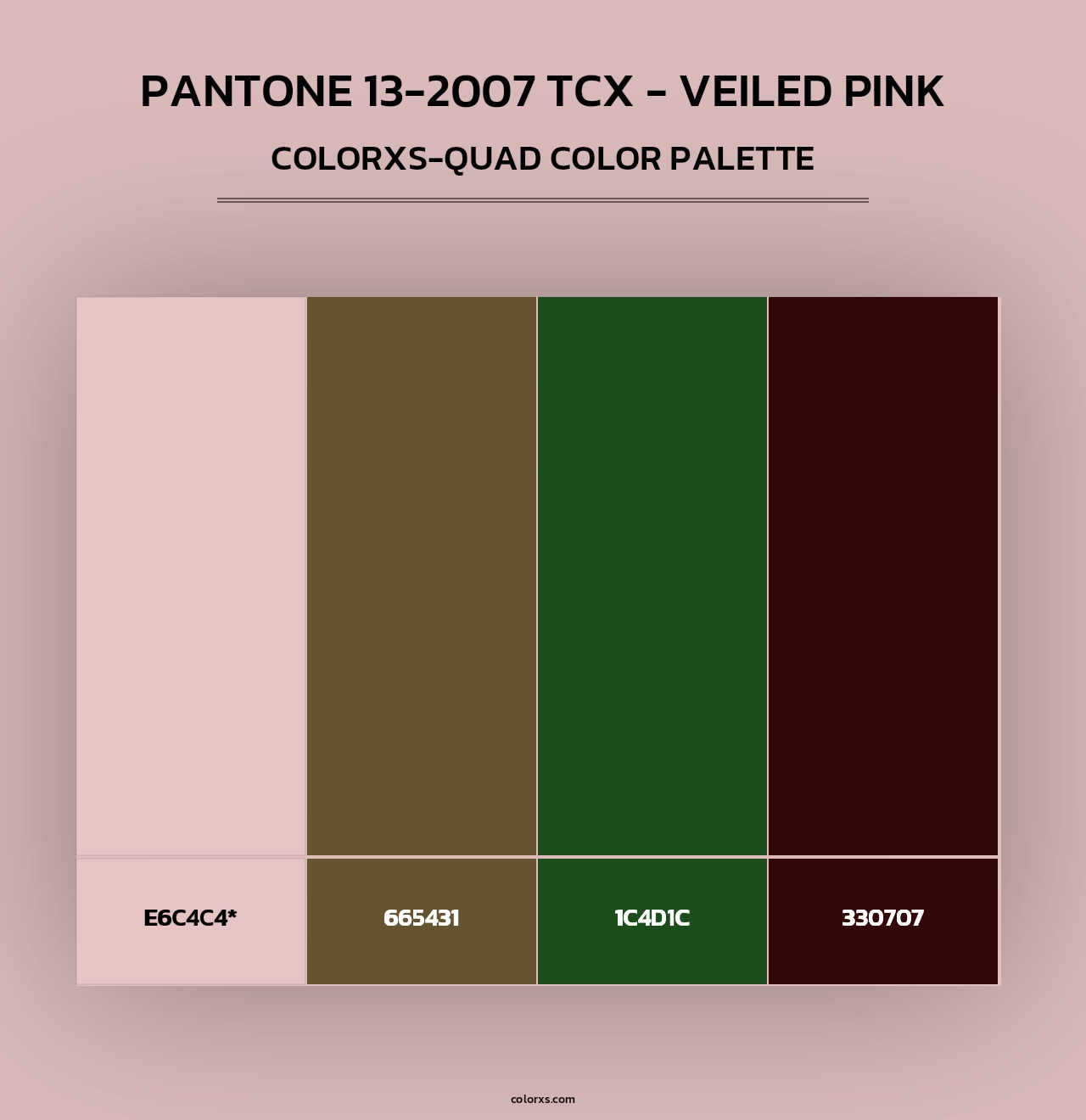 PANTONE 13-2007 TCX - Veiled Pink - Colorxs Quad Palette