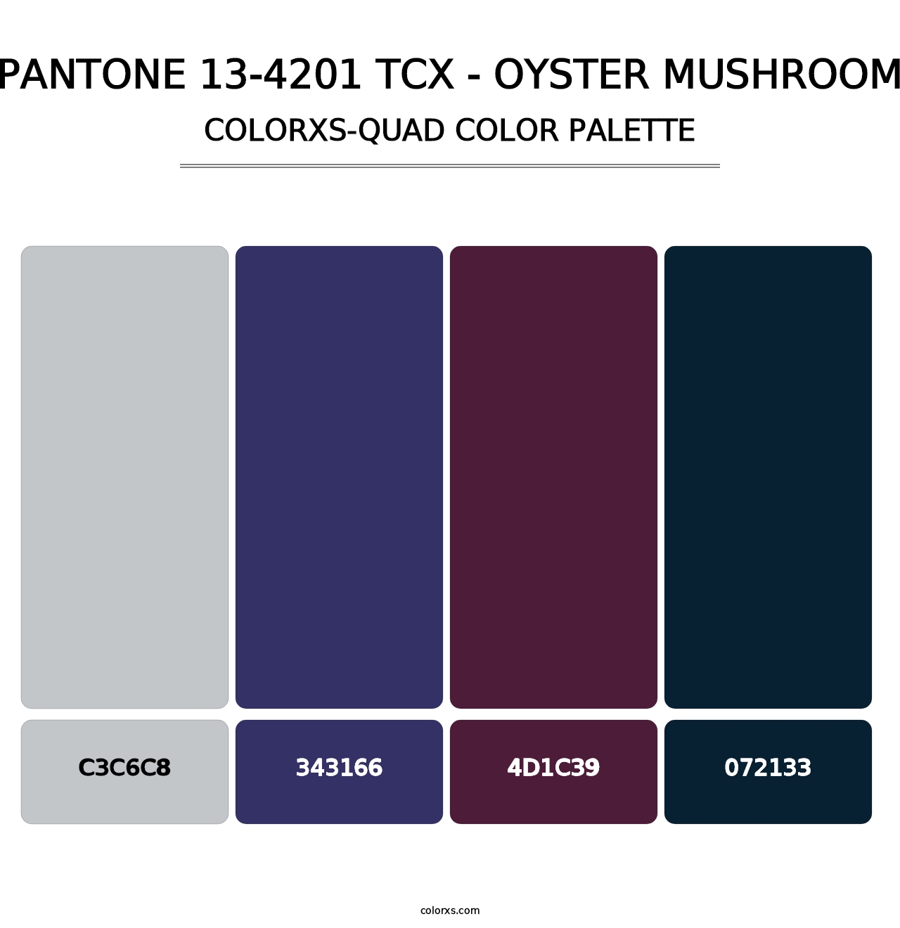 PANTONE 13-4201 TCX - Oyster Mushroom - Colorxs Quad Palette