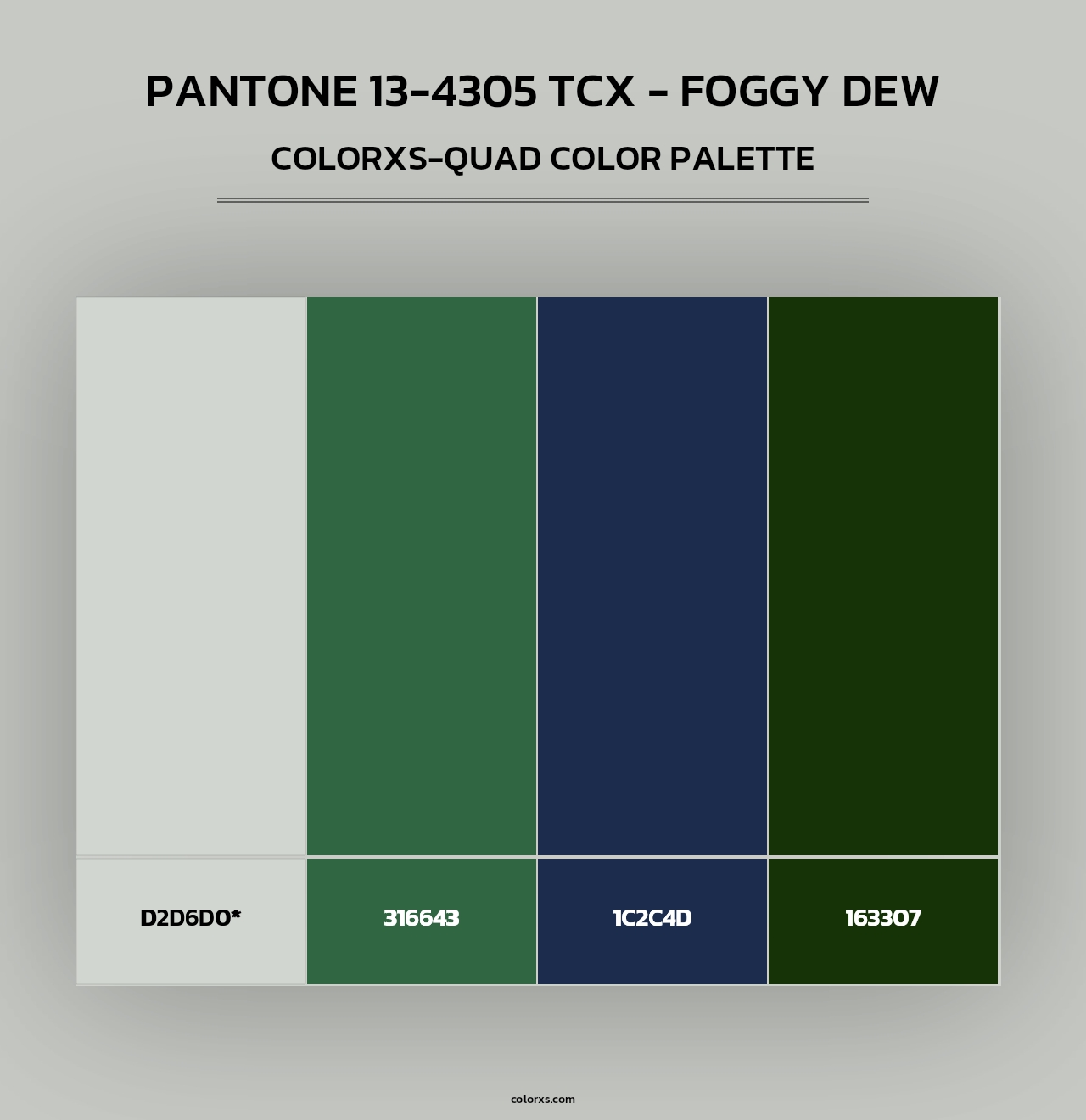 PANTONE 13-4305 TCX - Foggy Dew - Colorxs Quad Palette