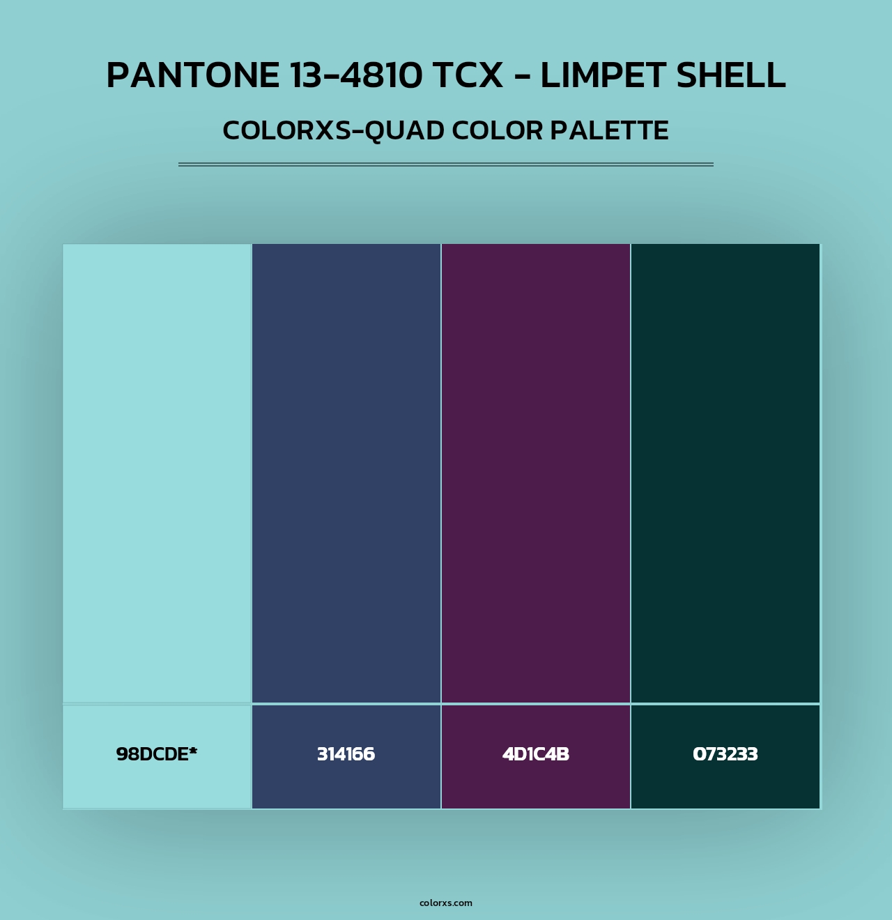 PANTONE 13-4810 TCX - Limpet Shell - Colorxs Quad Palette