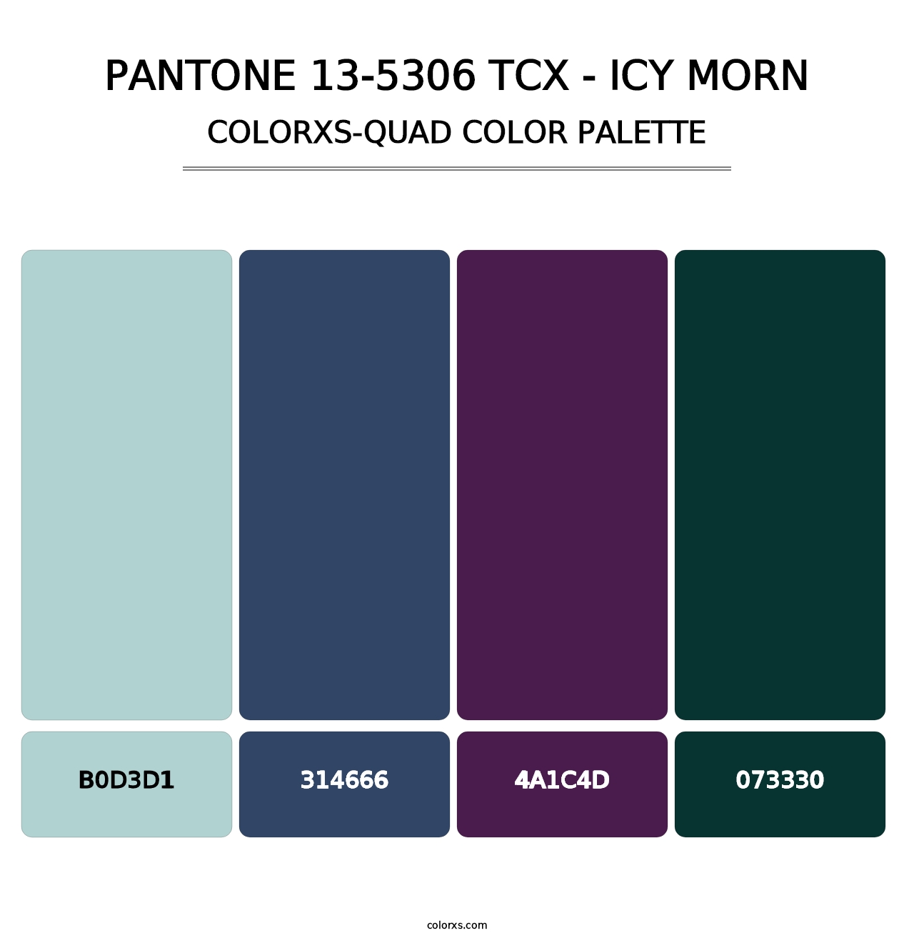 PANTONE 13-5306 TCX - Icy Morn - Colorxs Quad Palette