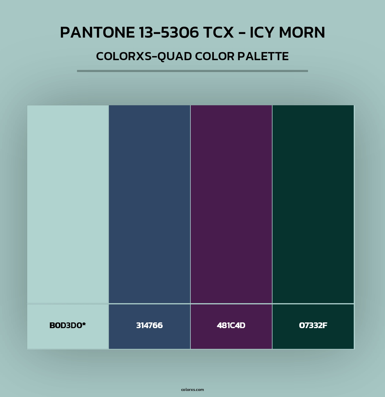 PANTONE 13-5306 TCX - Icy Morn - Colorxs Quad Palette