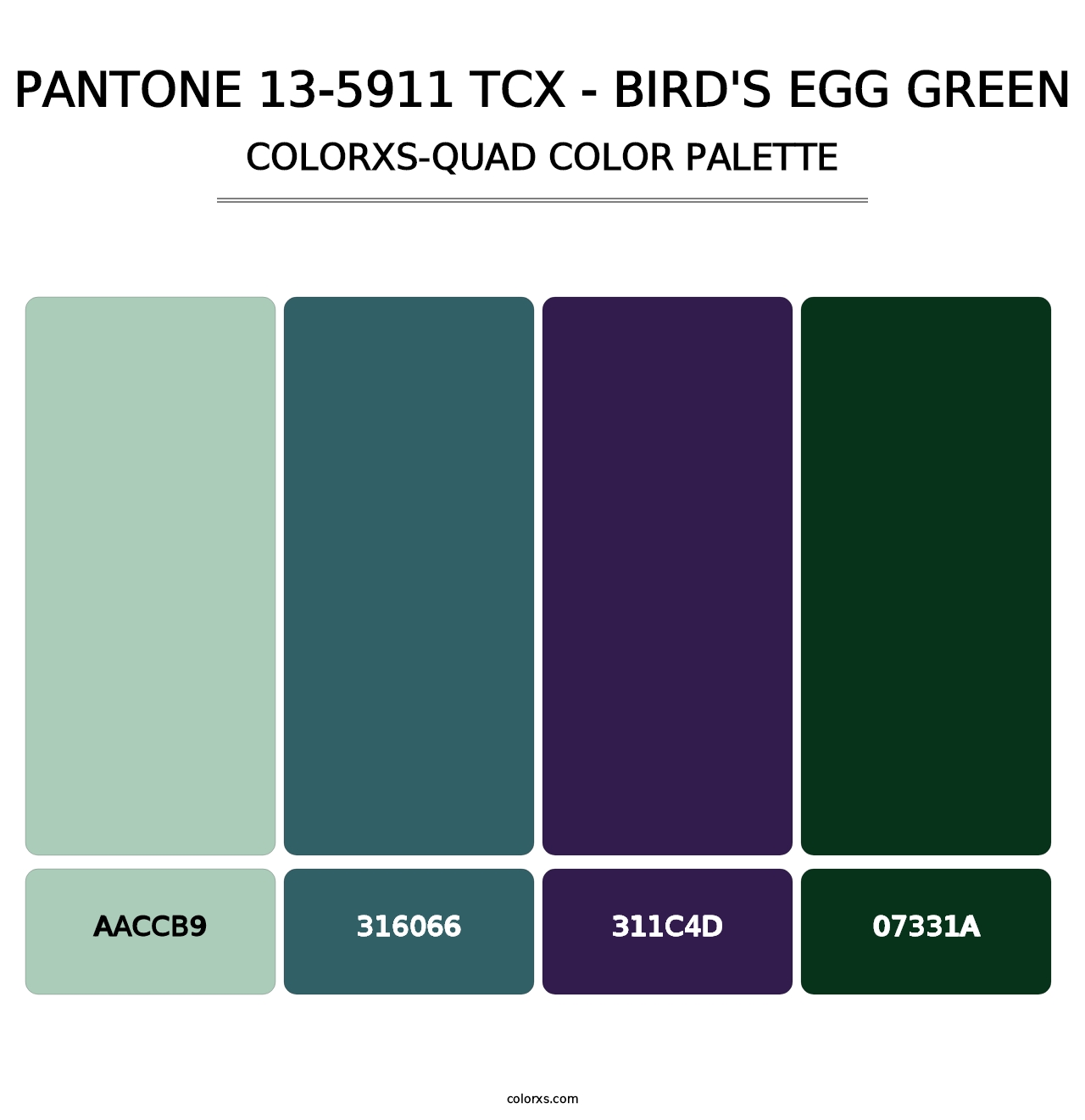 PANTONE 13-5911 TCX - Bird's Egg Green - Colorxs Quad Palette