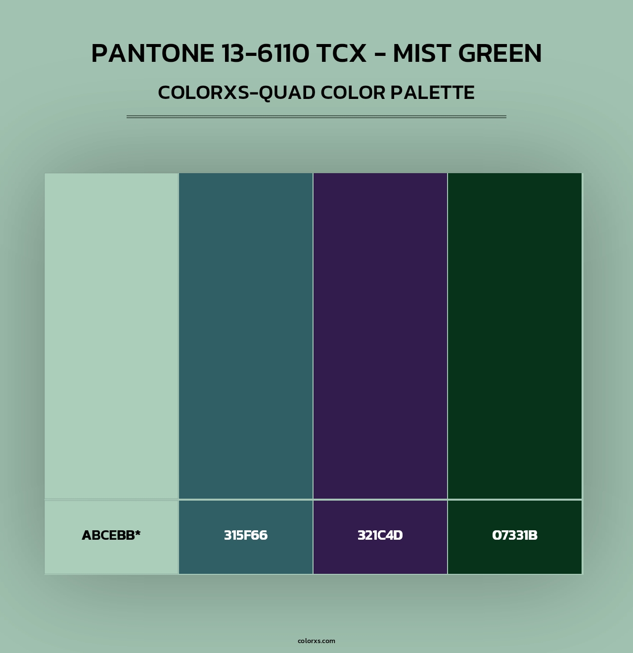 PANTONE 13-6110 TCX - Mist Green - Colorxs Quad Palette