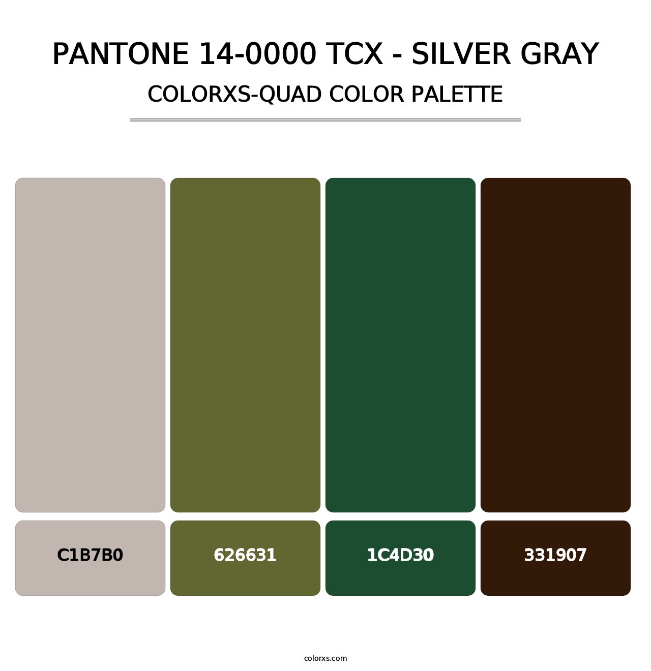 PANTONE 14-0000 TCX - Silver Gray - Colorxs Quad Palette