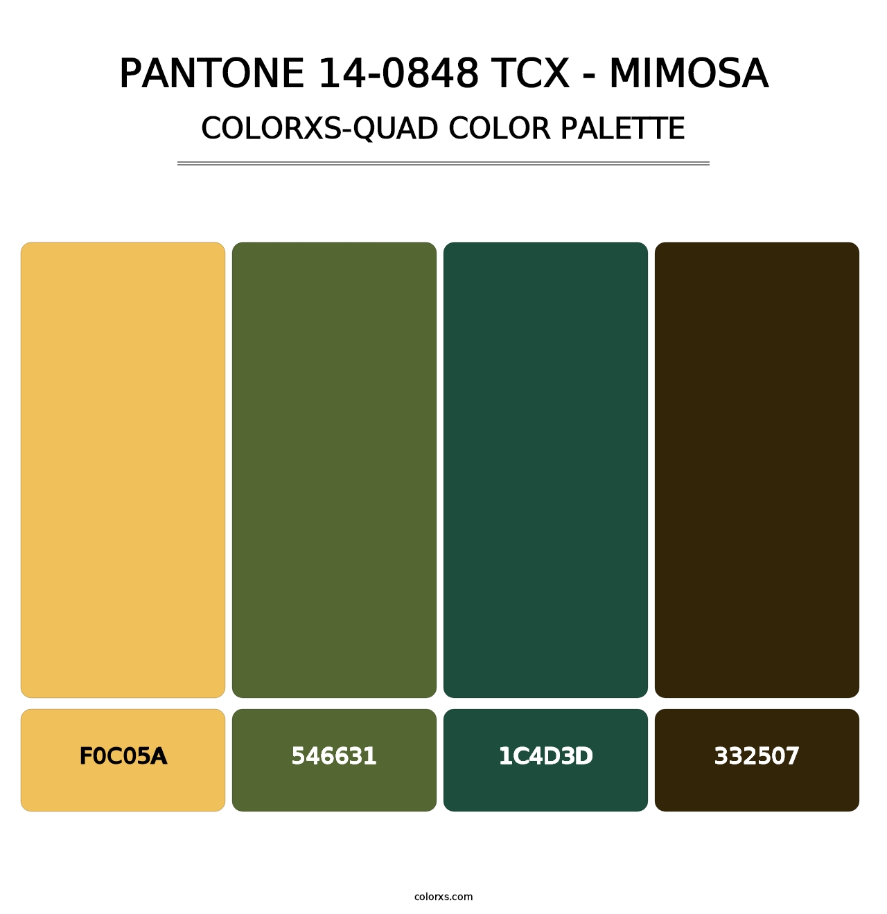 PANTONE 14-0848 TCX - Mimosa - Colorxs Quad Palette