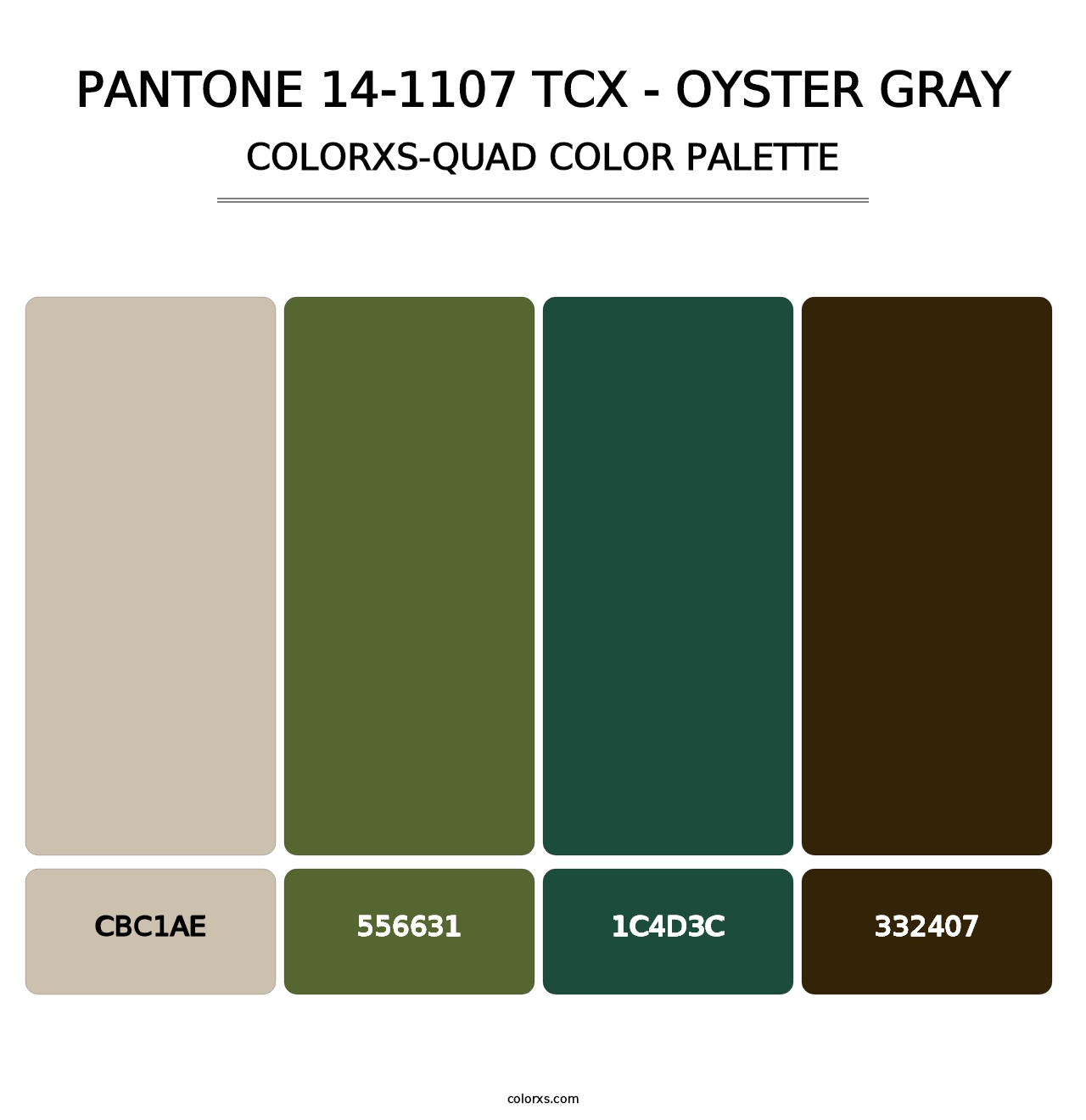 PANTONE 14-1107 TCX - Oyster Gray - Colorxs Quad Palette