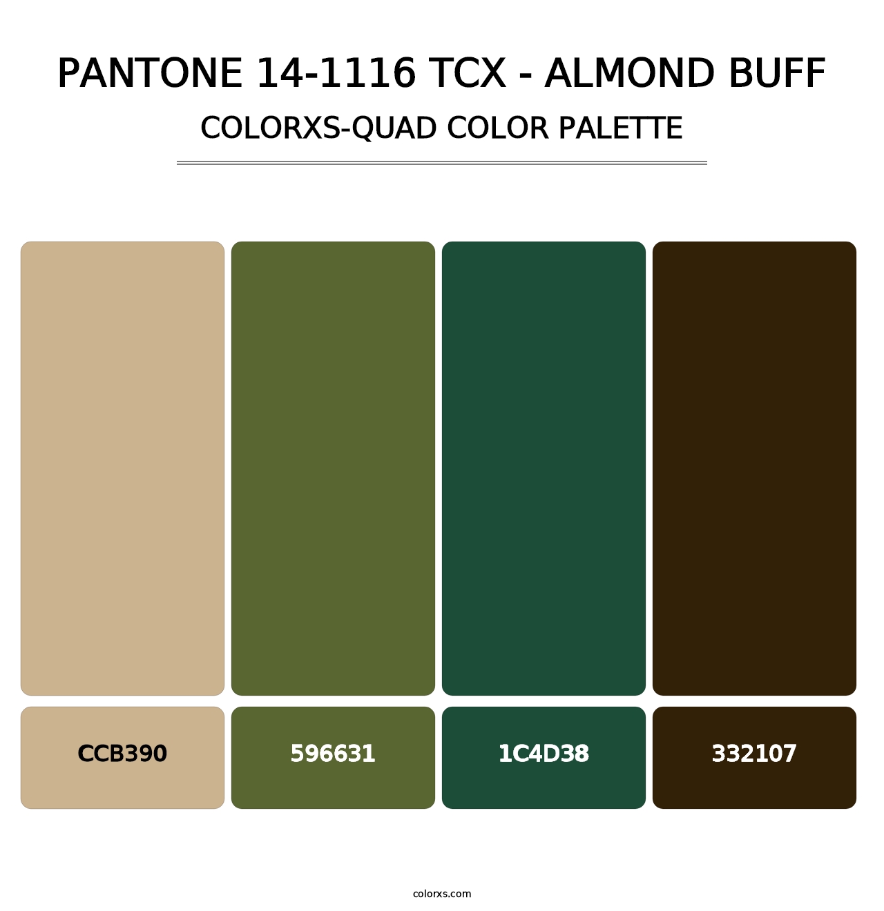 PANTONE 14-1116 TCX - Almond Buff - Colorxs Quad Palette