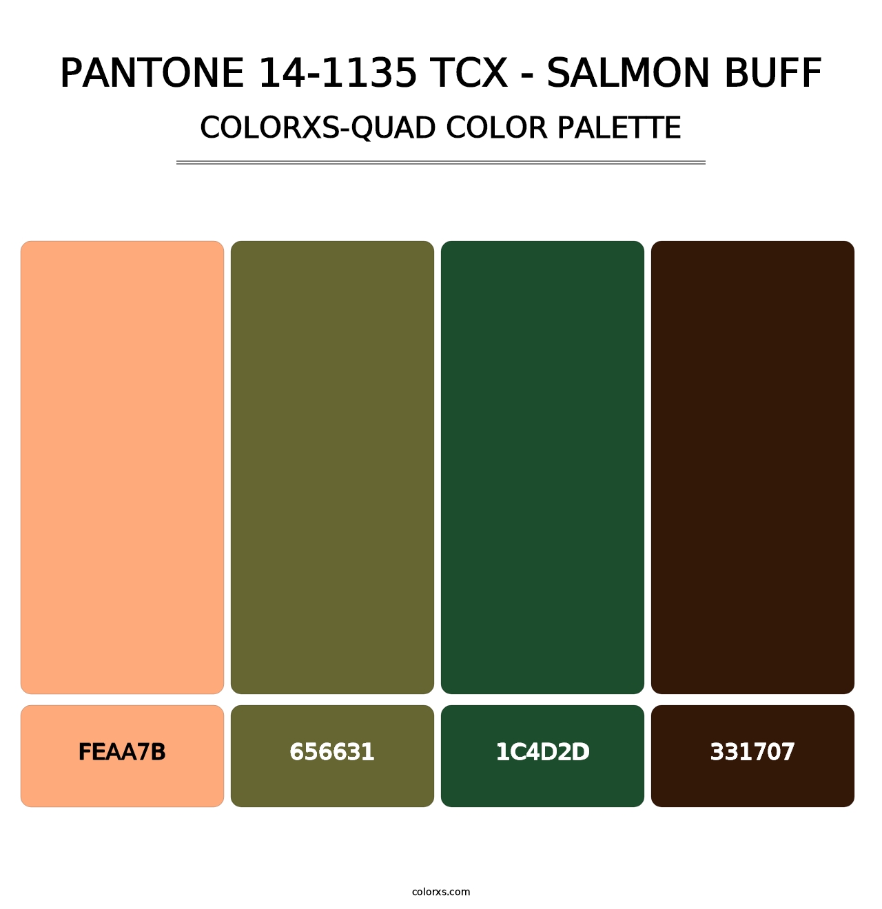 PANTONE 14-1135 TCX - Salmon Buff - Colorxs Quad Palette