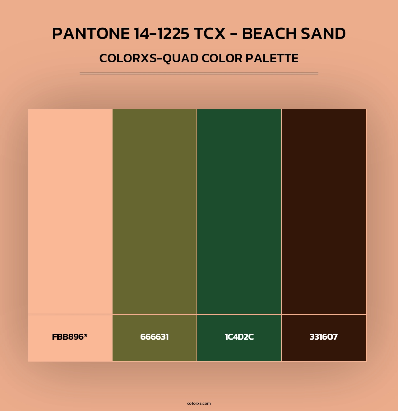 PANTONE 14-1225 TCX - Beach Sand - Colorxs Quad Palette