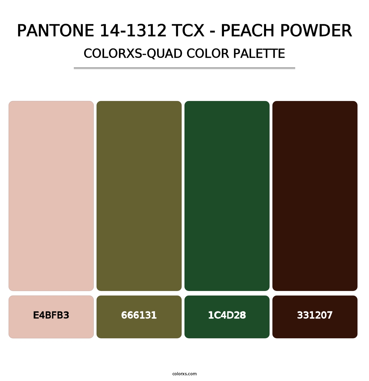 PANTONE 14-1312 TCX - Peach Powder - Colorxs Quad Palette