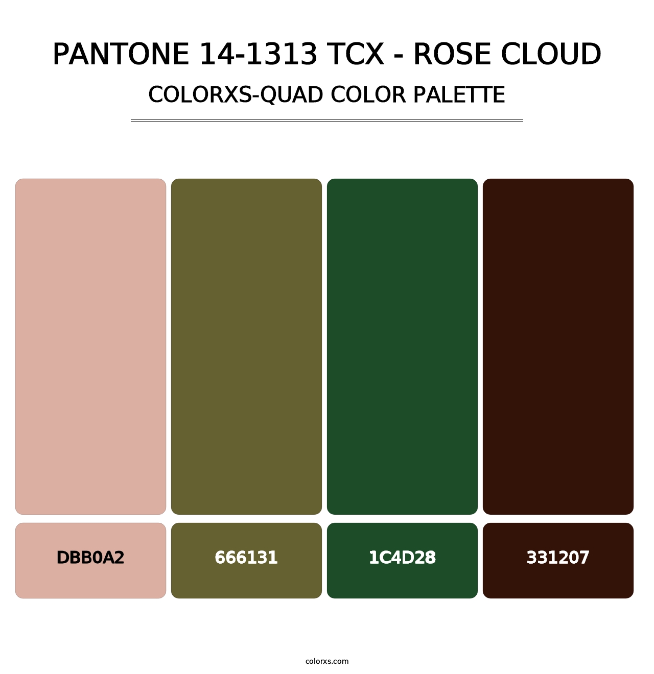 PANTONE 14-1313 TCX - Rose Cloud - Colorxs Quad Palette