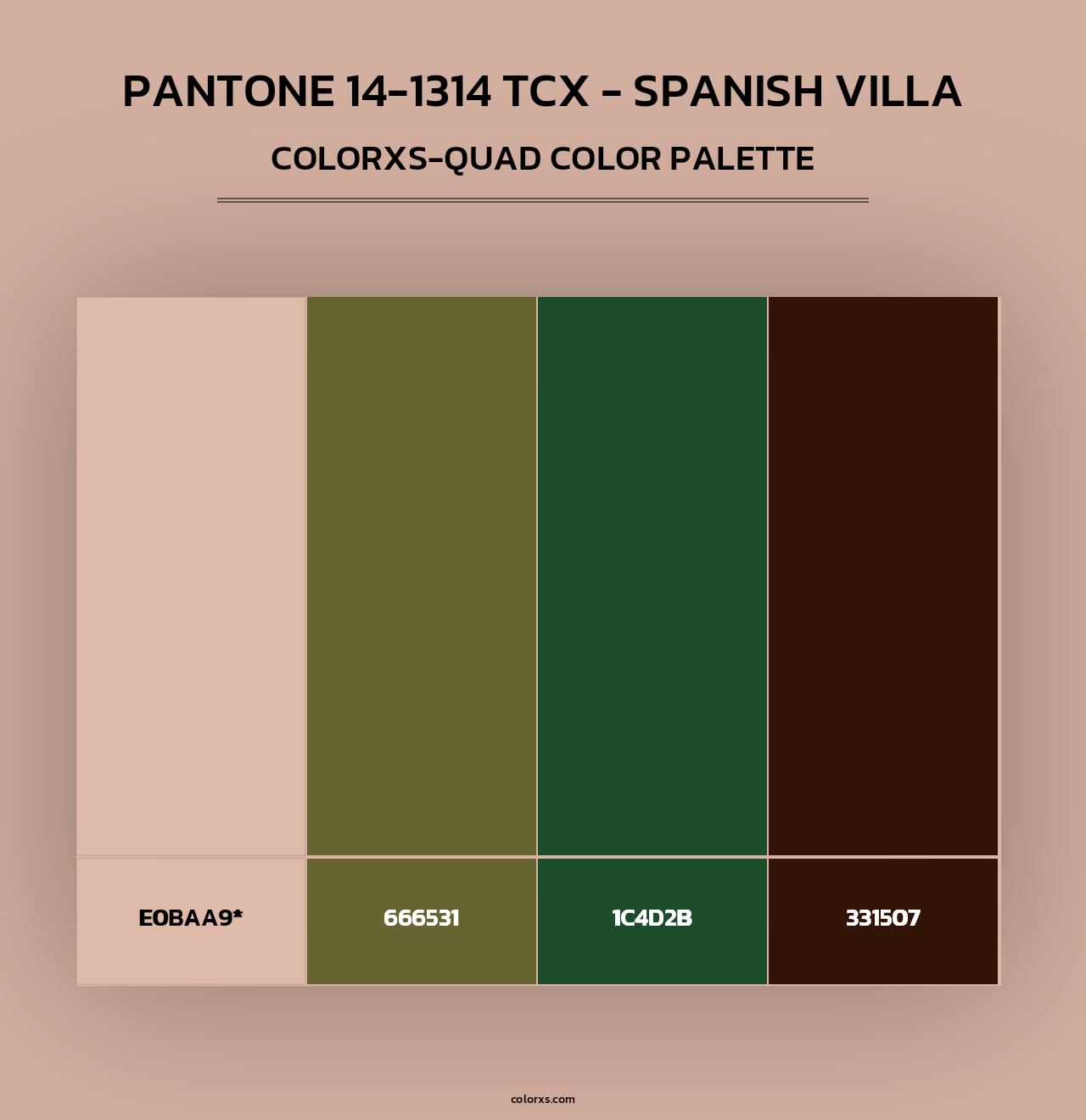 PANTONE 14-1314 TCX - Spanish Villa - Colorxs Quad Palette