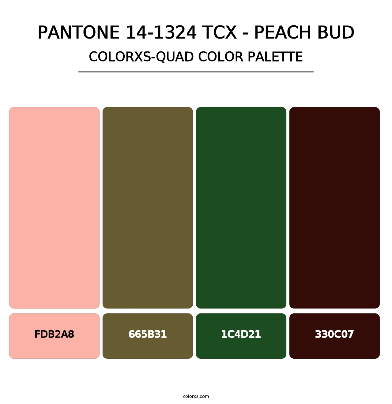 PANTONE 14-1324 TCX - Peach Bud - Colorxs Quad Palette