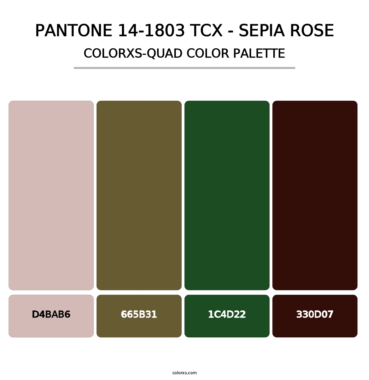 PANTONE 14-1803 TCX - Sepia Rose - Colorxs Quad Palette