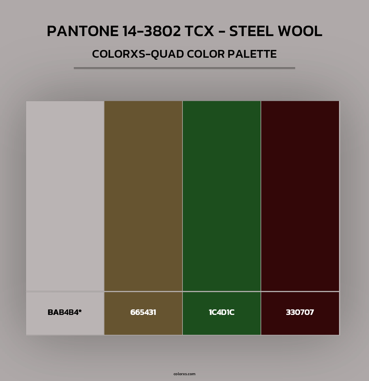 PANTONE 14-3802 TCX - Steel Wool - Colorxs Quad Palette