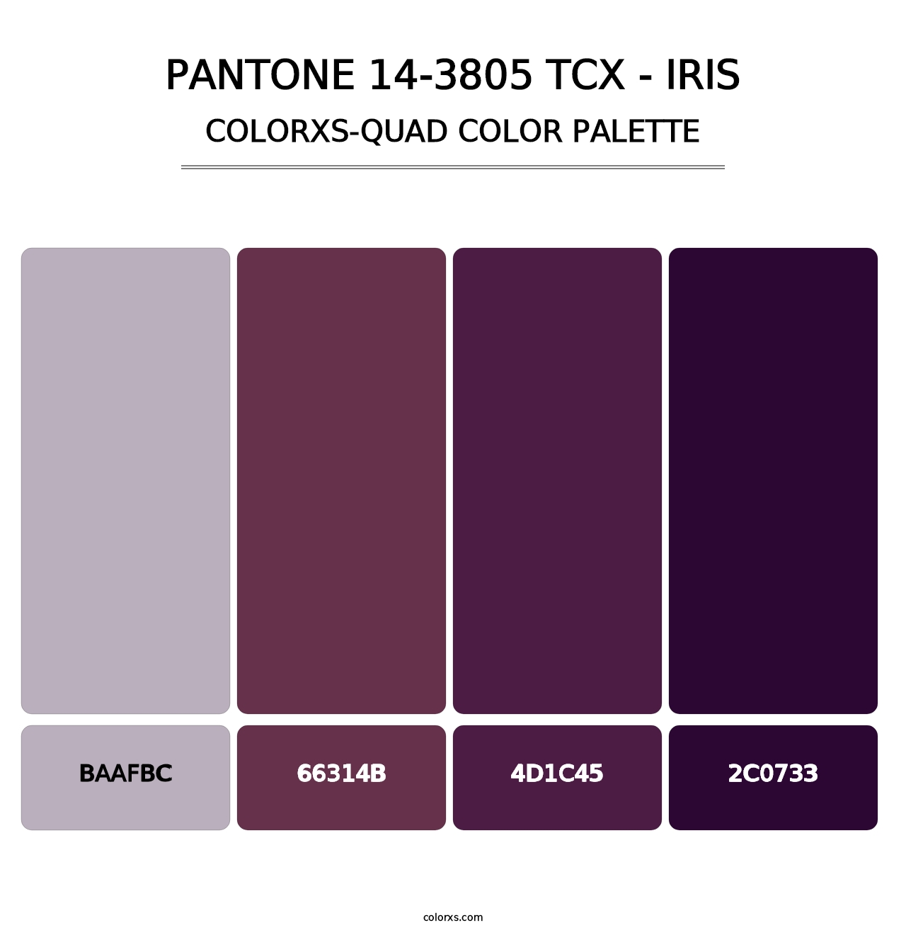 PANTONE 14-3805 TCX - Iris - Colorxs Quad Palette