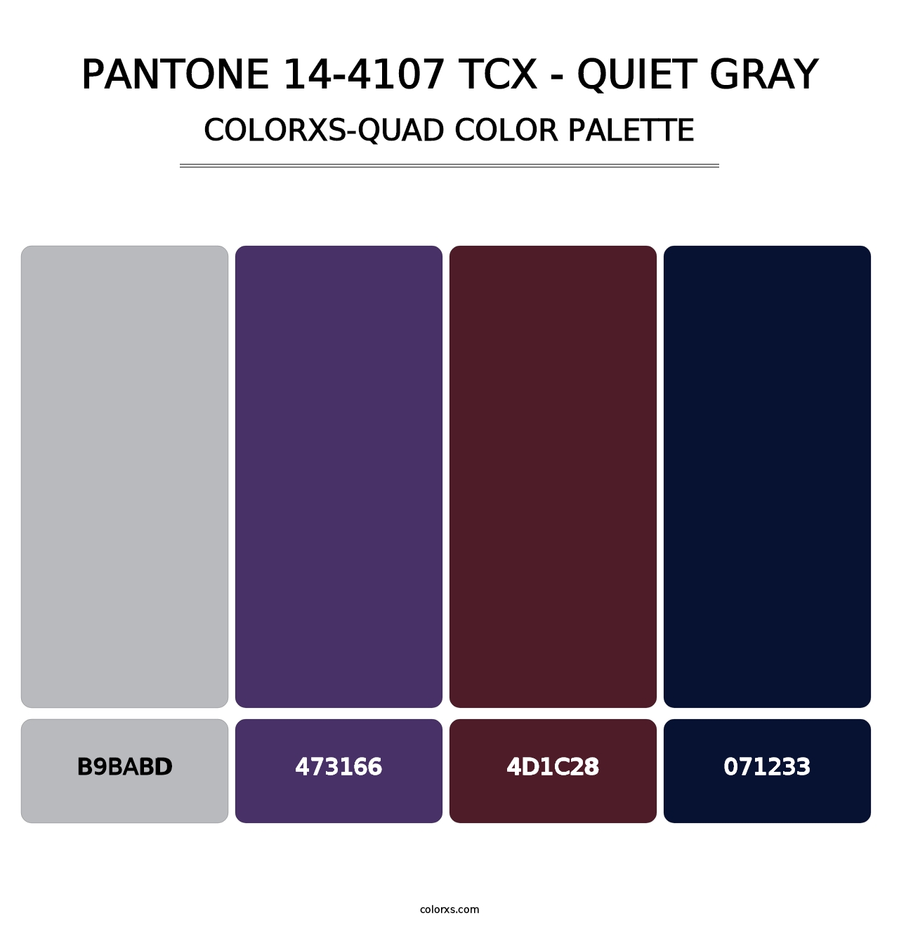 PANTONE 14-4107 TCX - Quiet Gray - Colorxs Quad Palette