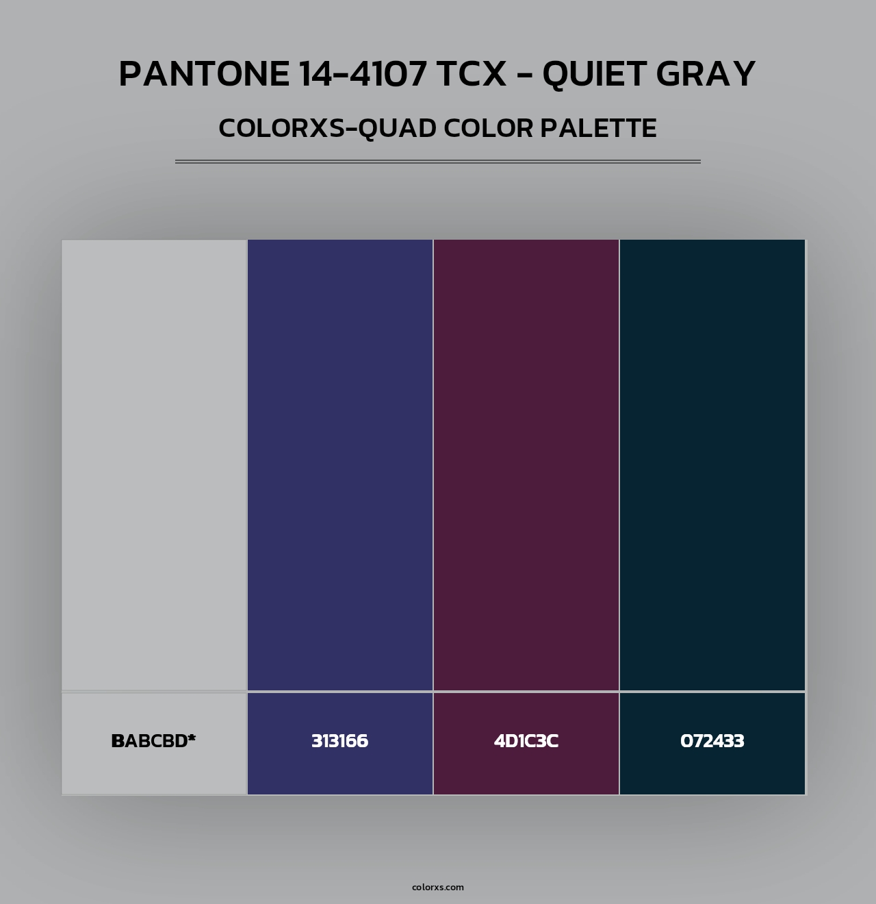 PANTONE 14-4107 TCX - Quiet Gray - Colorxs Quad Palette