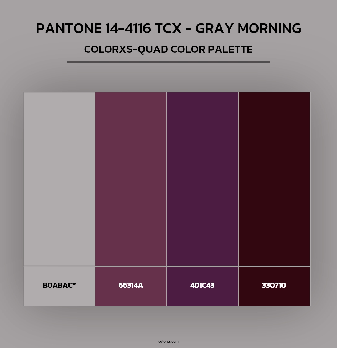 PANTONE 14-4116 TCX - Gray Morning - Colorxs Quad Palette