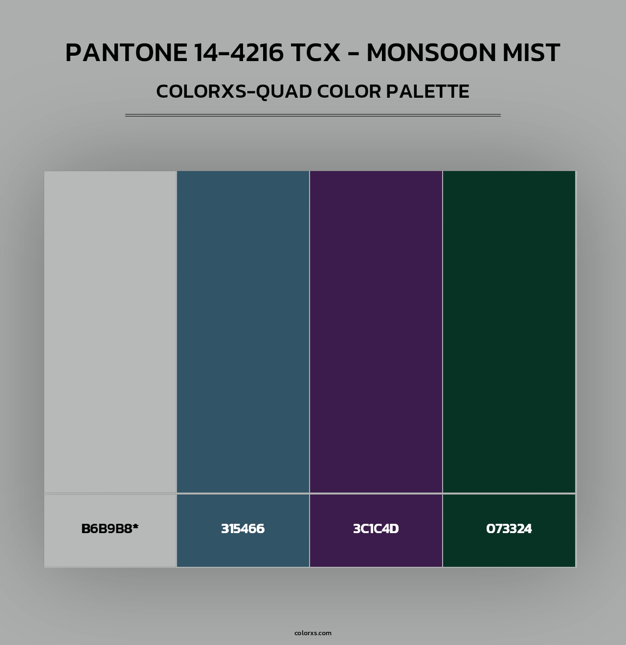PANTONE 14-4216 TCX - Monsoon Mist - Colorxs Quad Palette