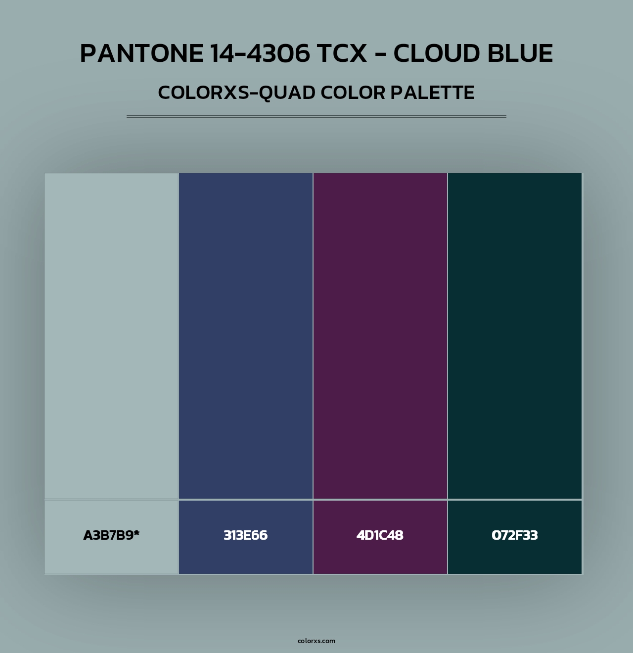 Pantone 14-4306 TCX - Cloud Blue - Colorxs Quad Palette