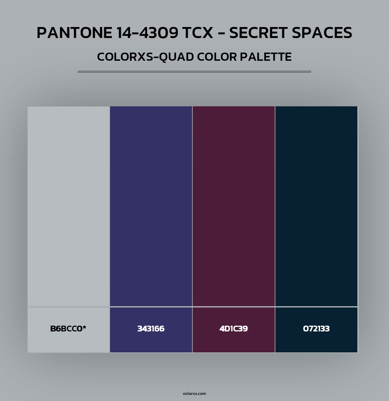 PANTONE 14-4309 TCX - Secret Spaces - Colorxs Quad Palette