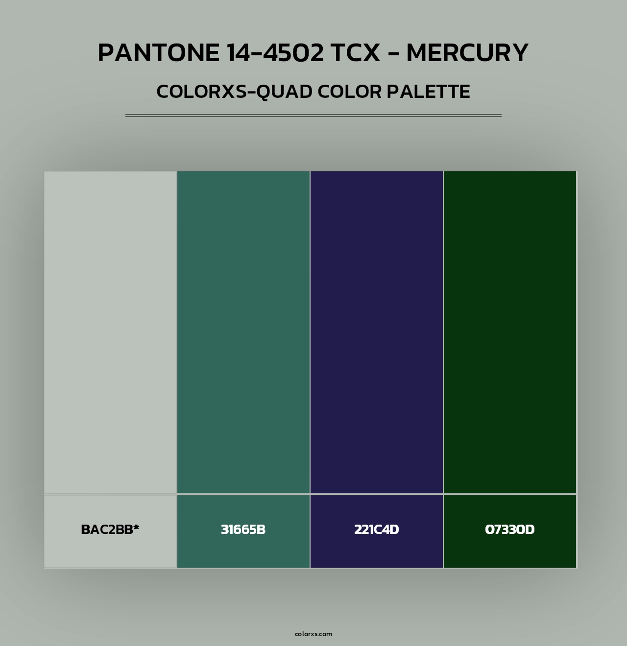 PANTONE 14-4502 TCX - Mercury - Colorxs Quad Palette