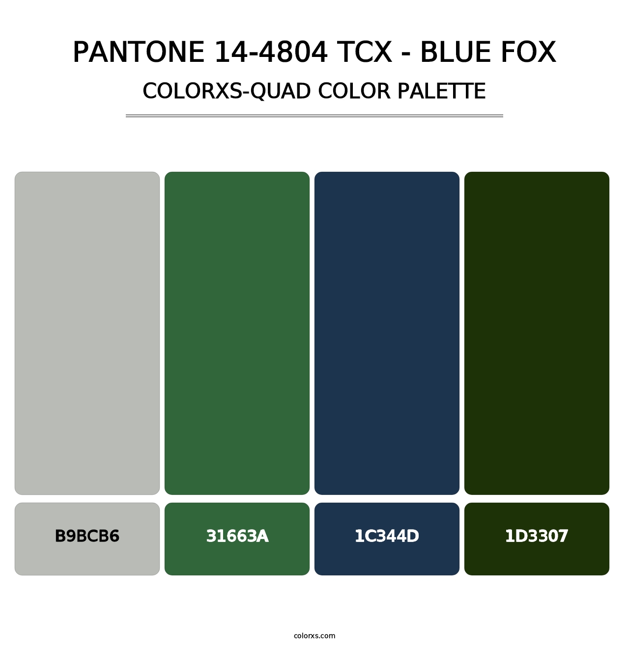PANTONE 14-4804 TCX - Blue Fox - Colorxs Quad Palette