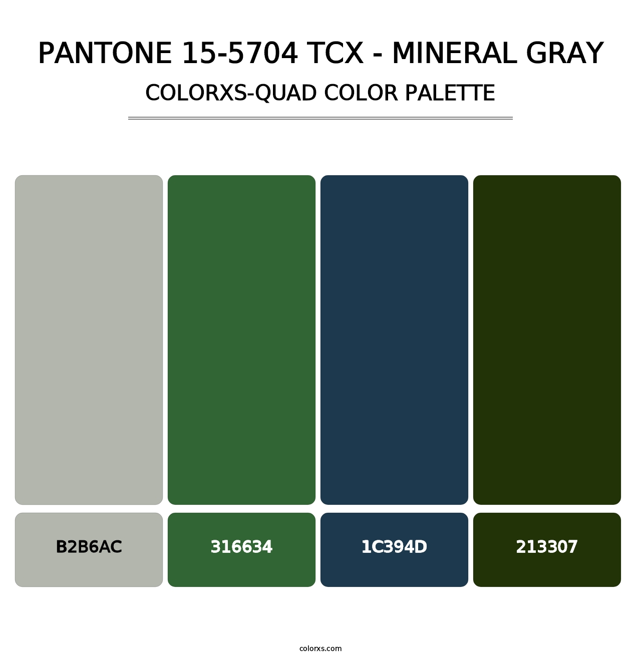 PANTONE 15-5704 TCX - Mineral Gray - Colorxs Quad Palette