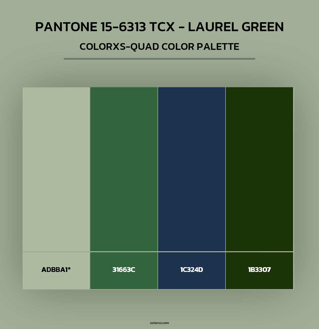PANTONE 15-6313 TCX - Laurel Green - Colorxs Quad Palette