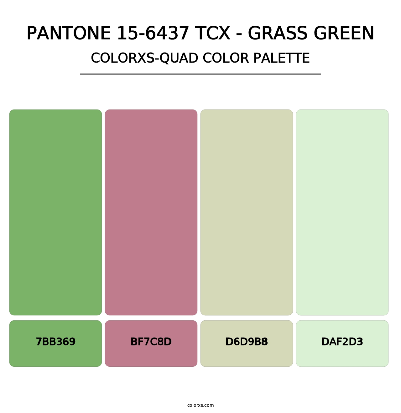 PANTONE 15-6437 TCX - Grass Green - Colorxs Quad Palette
