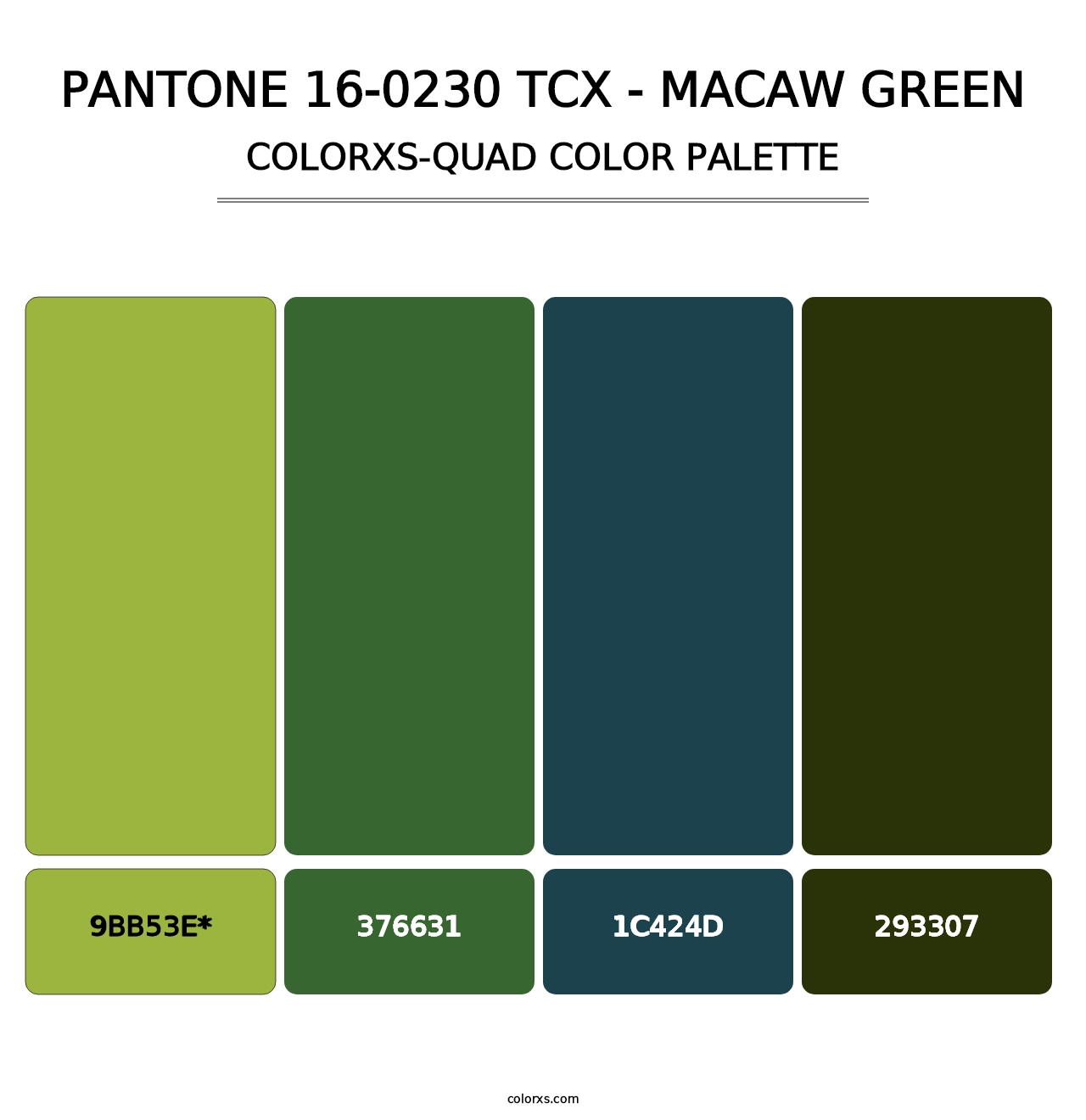 PANTONE 16-0230 TCX - Macaw Green - Colorxs Quad Palette