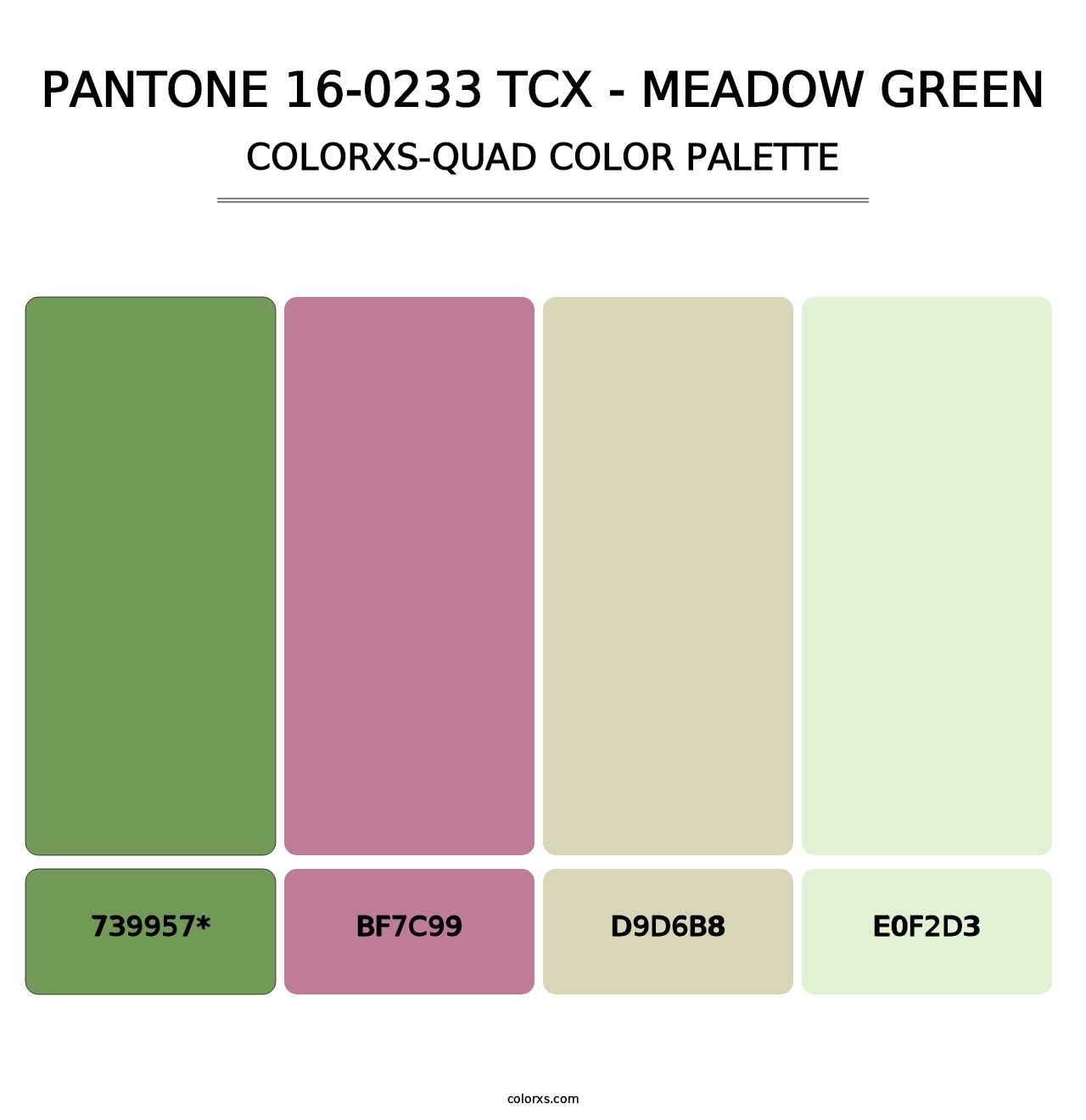 PANTONE 16-0233 TCX - Meadow Green - Colorxs Quad Palette