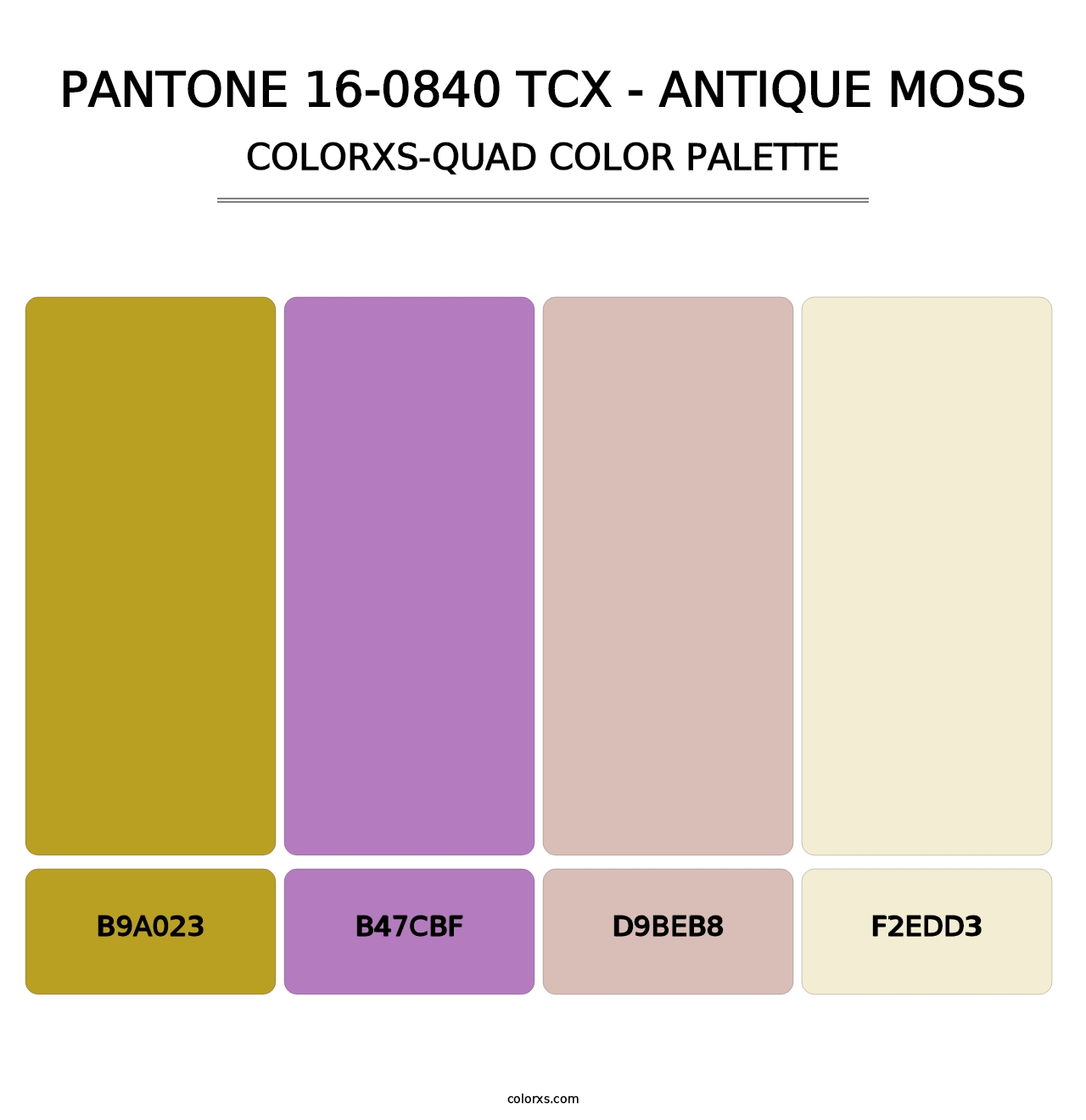 PANTONE 16-0840 TCX - Antique Moss - Colorxs Quad Palette