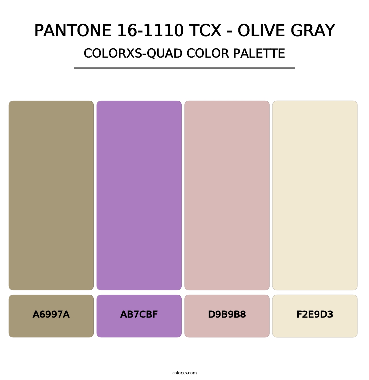 PANTONE 16-1110 TCX - Olive Gray - Colorxs Quad Palette