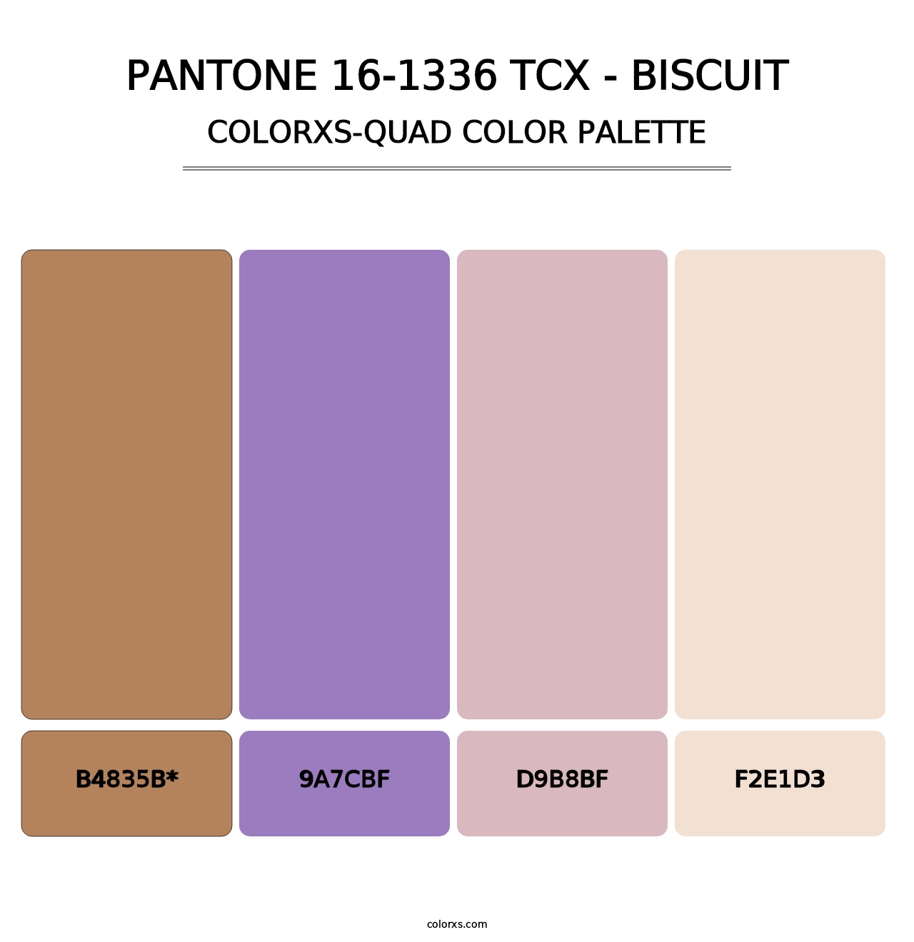 PANTONE 16-1336 TCX - Biscuit - Colorxs Quad Palette