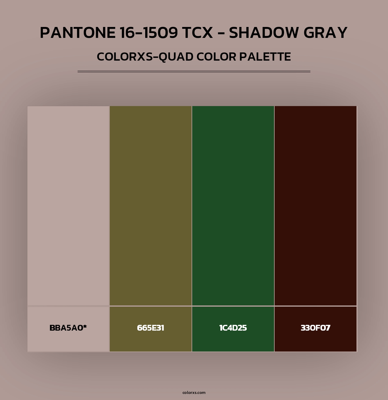 PANTONE 16-1509 TCX - Shadow Gray - Colorxs Quad Palette