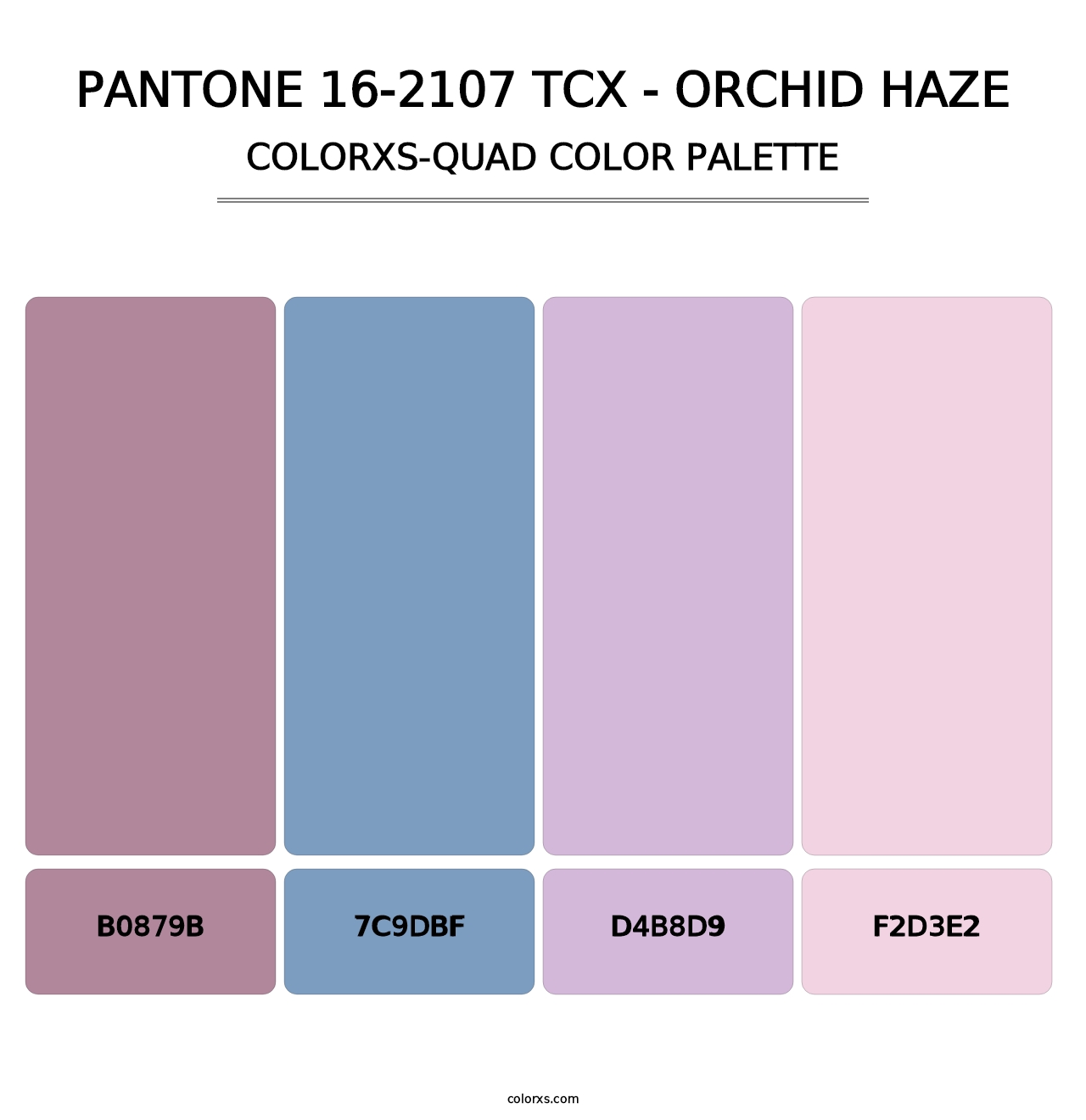 PANTONE 16-2107 TCX - Orchid Haze - Colorxs Quad Palette