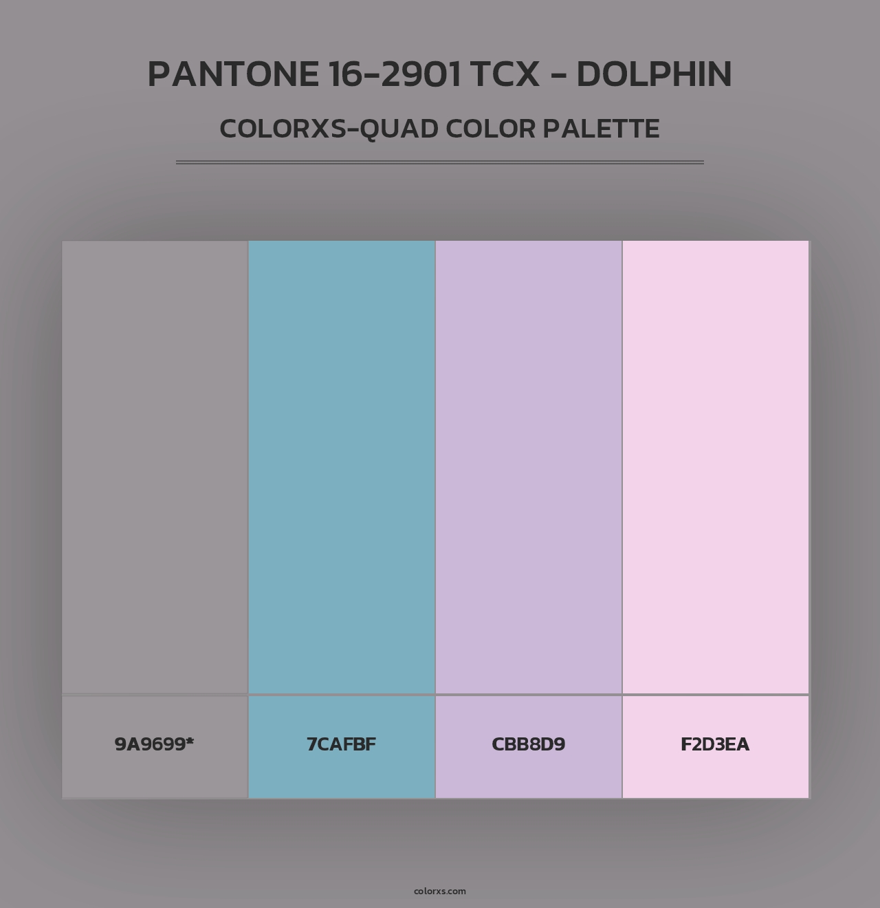 PANTONE 16-2901 TCX - Dolphin - Colorxs Quad Palette