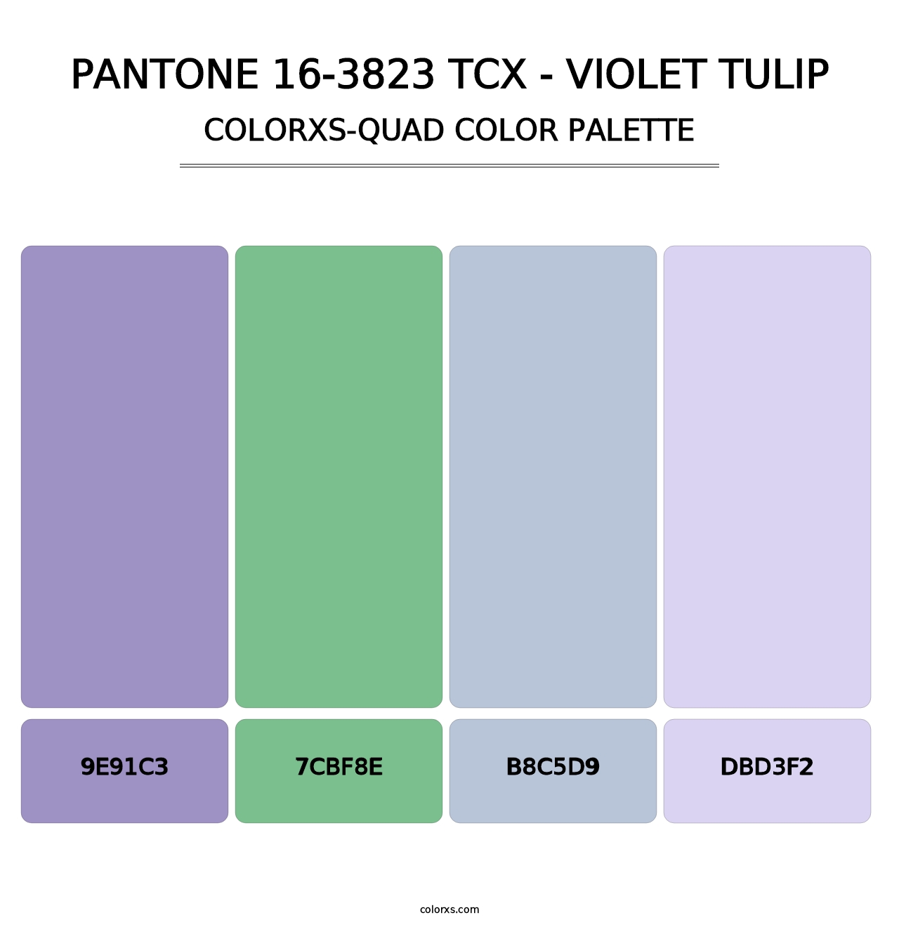 PANTONE 16-3823 TCX - Violet Tulip - Colorxs Quad Palette