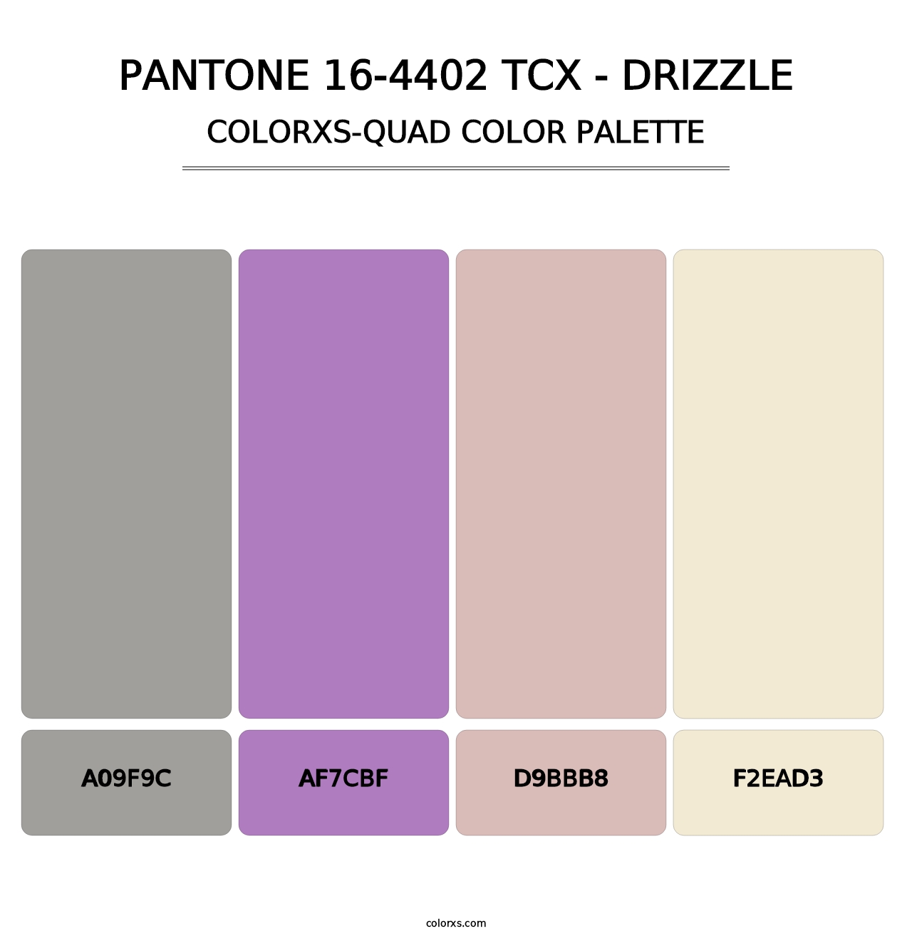 PANTONE 16-4402 TCX - Drizzle - Colorxs Quad Palette