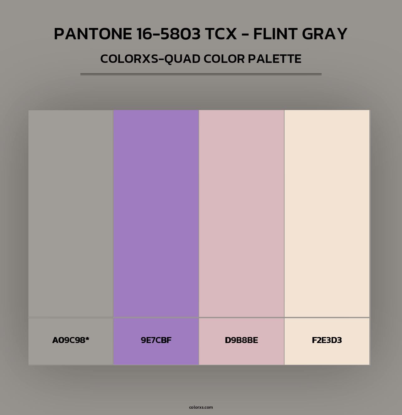 PANTONE 16-5803 TCX - Flint Gray - Colorxs Quad Palette