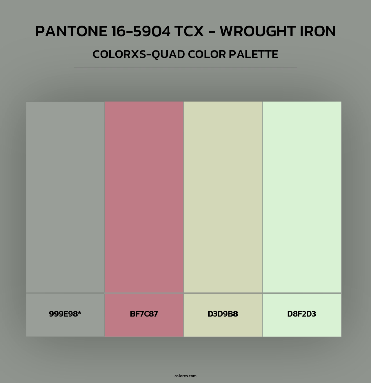 PANTONE 16-5904 TCX - Wrought Iron - Colorxs Quad Palette