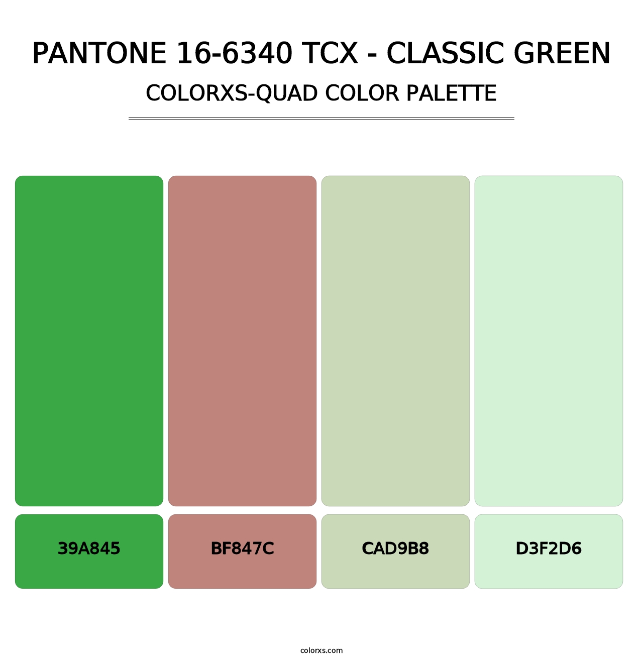 PANTONE 16-6340 TCX - Classic Green - Colorxs Quad Palette