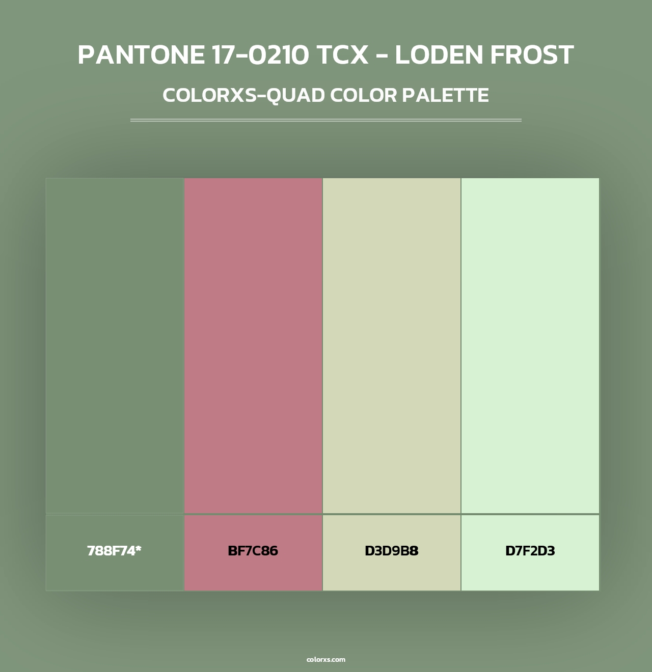 PANTONE 17-0210 TCX - Loden Frost - Colorxs Quad Palette