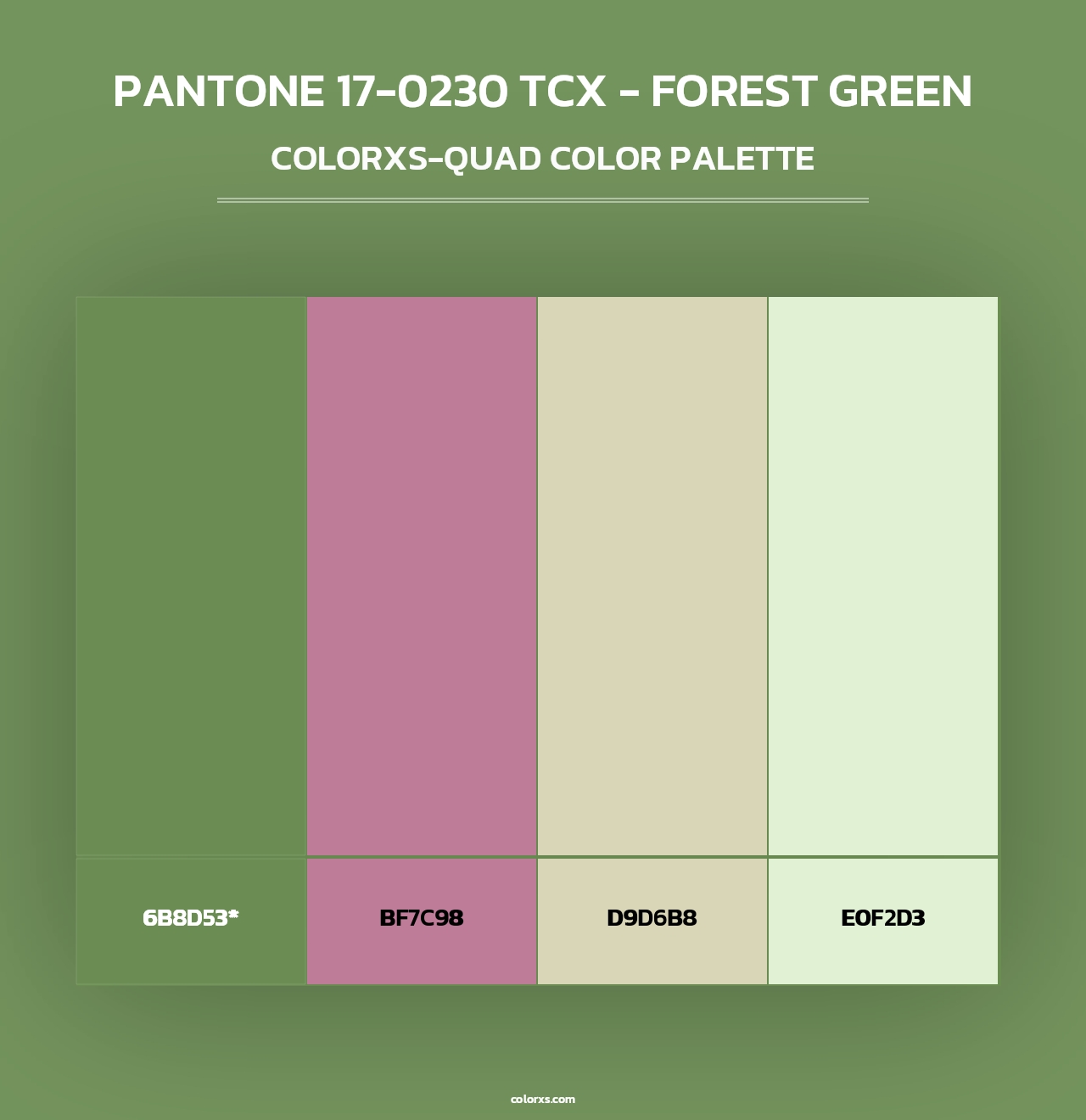 PANTONE 17-0230 TCX - Forest Green - Colorxs Quad Palette