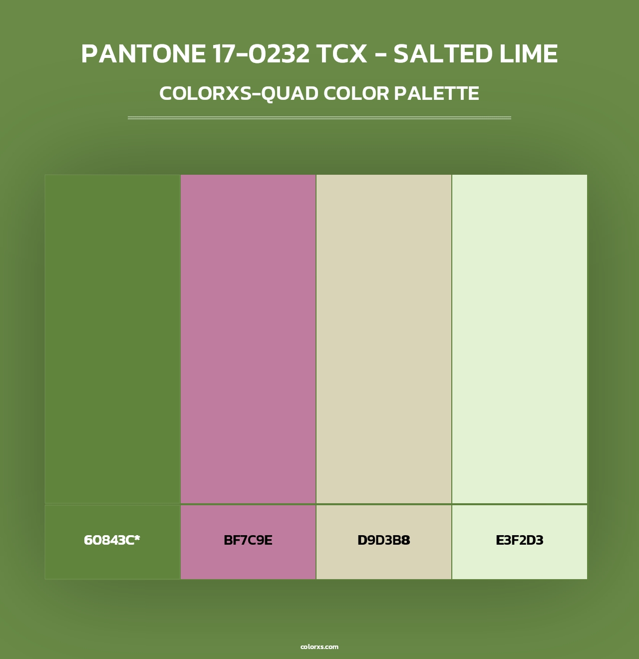 PANTONE 17-0232 TCX - Salted Lime - Colorxs Quad Palette