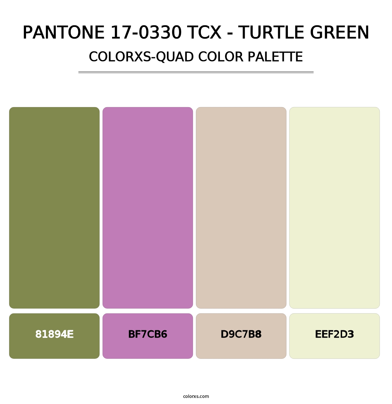 PANTONE 17-0330 TCX - Turtle Green - Colorxs Quad Palette
